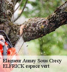 Elagueur  aunay-sous-crecy-28500 ELFRICK espace vert