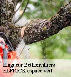 Elagueur  bethonvilliers-28330 ELFRICK espace vert