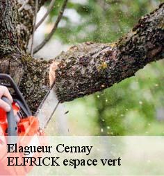 Elagueur  cernay-28120 ELFRICK espace vert