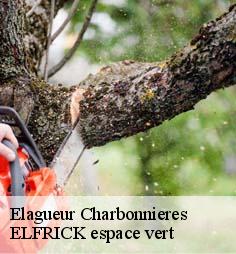 Elagueur  charbonnieres-28330 ELFRICK espace vert