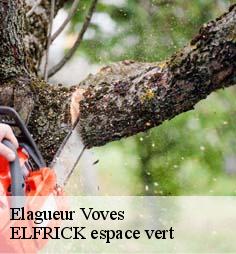 Elagueur  voves-28150 ELFRICK espace vert